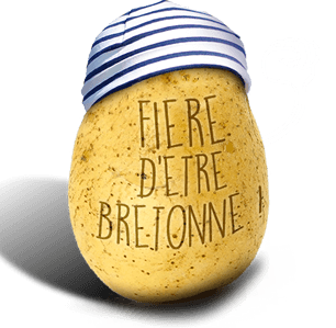 pommes de terre bretonnes