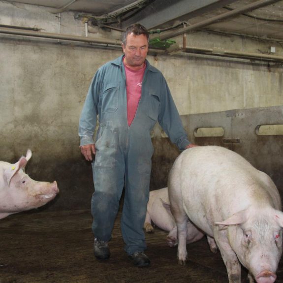 Ferme du Calfour élevage de porcs 3 (Large)