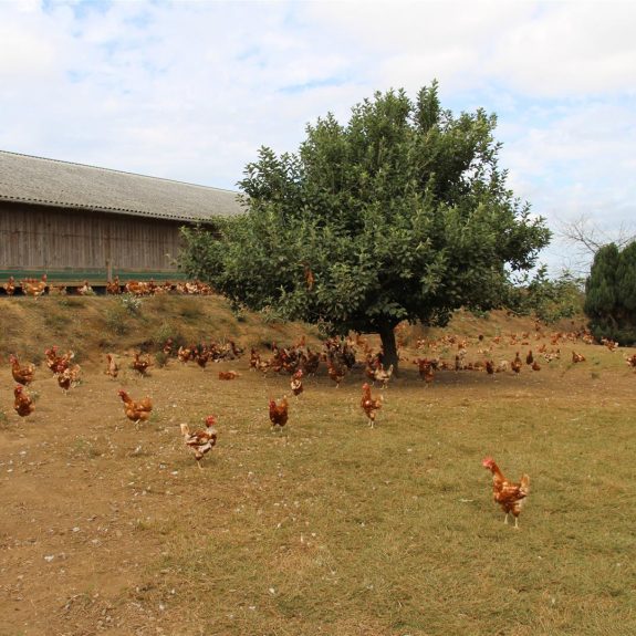 Ferme du moulin parcours