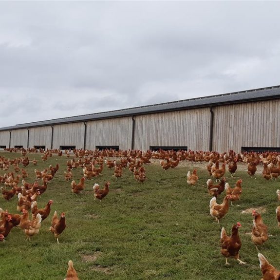 ferme des ormes plein air