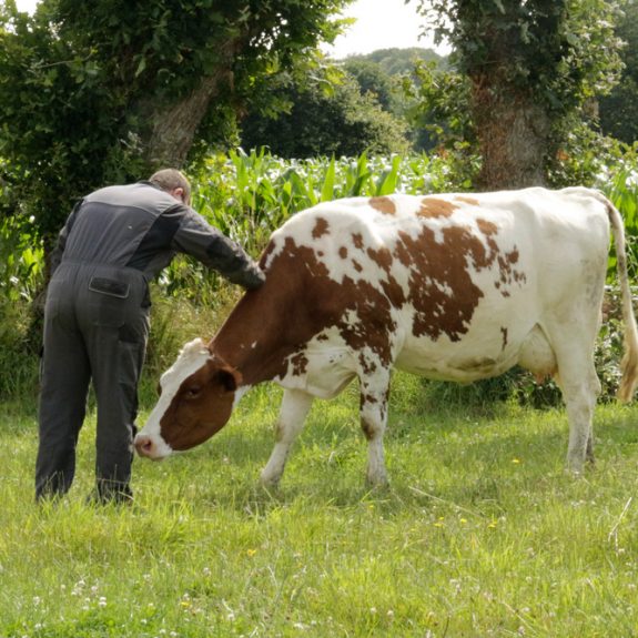 FERME-LES-LANDES---TDB-(14)