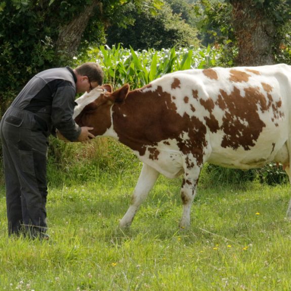 FERME-LES-LANDES---TDB-(16)