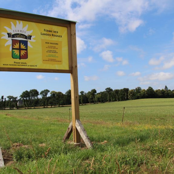 FERME-LES-LANDES---TDB-(60)