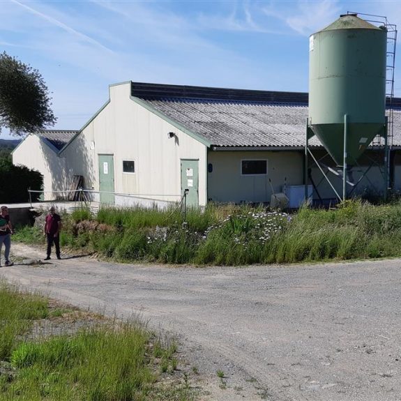 Ferme de Kilhog Breizh (1)