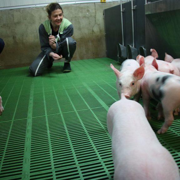 Ferme de la Ville Quinio_Sylviane Sérandour-min