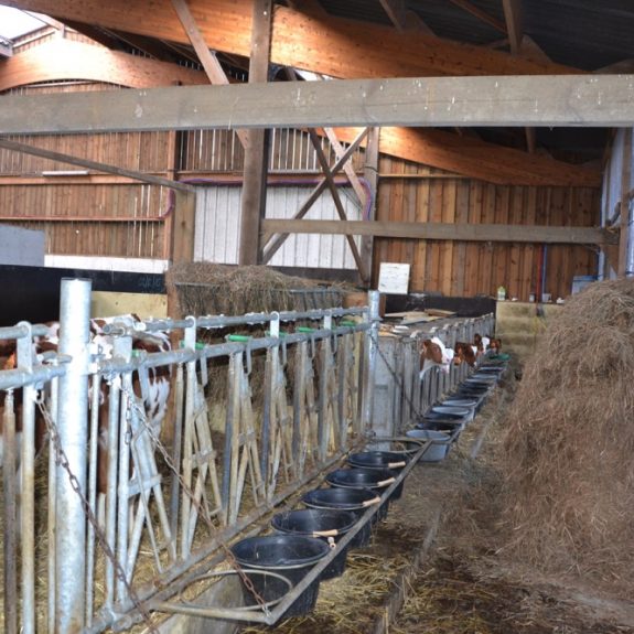 ferme__landes_rouges_13__060001900_0951_14042016