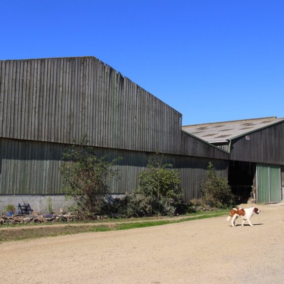 fermes_des_deux_chenes_terres_de_breizh_09_15_38__040687300_1722_30092015