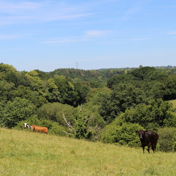 Ferme de Kerhuon