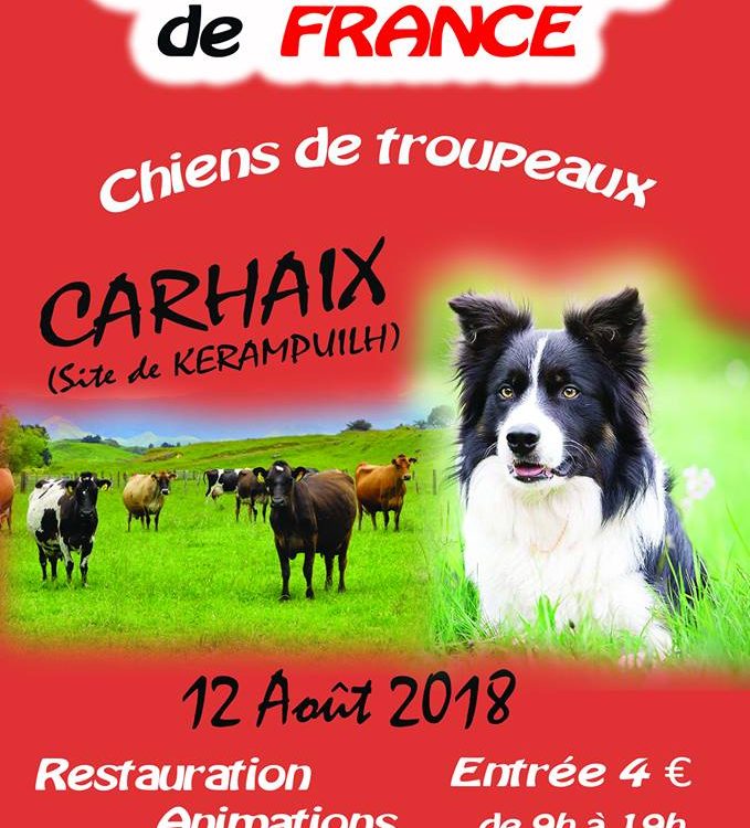 Championnat de France de chiens de troupeau