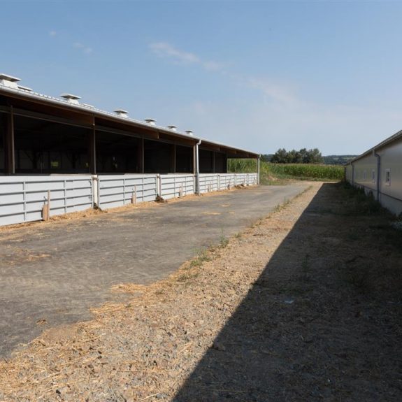 IMJ_85Terres de Breizh Ferme des Courtrais   extérieur15 (Medium)